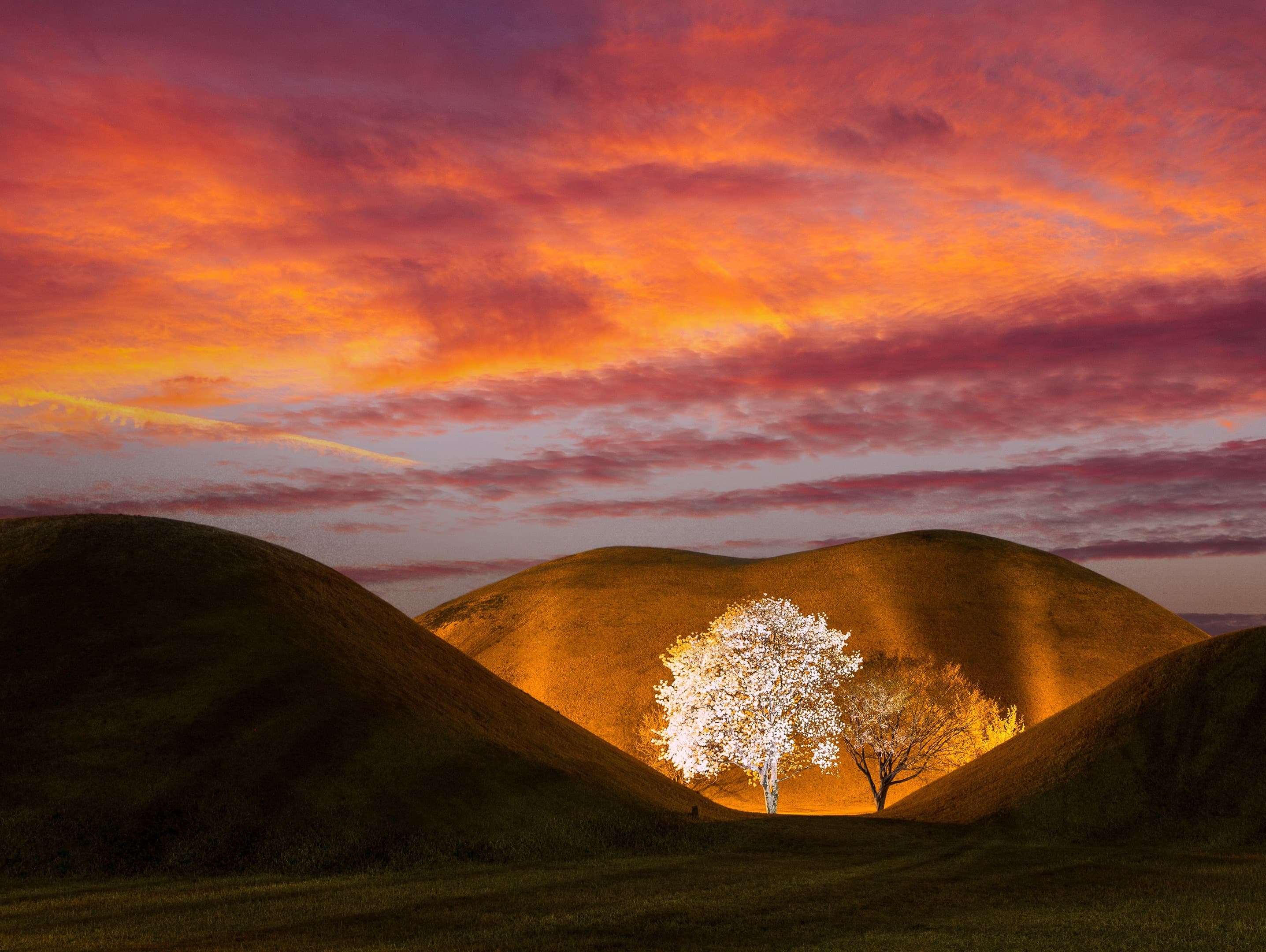 Carlo Burns Memorial Scholarship for High School Seniors Fund