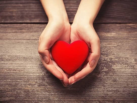 Lisa McCaughan Young Educators Scholarship Fund