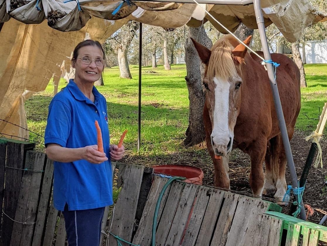 Coco Elliott Veterinary Medicine Scholarship Fund