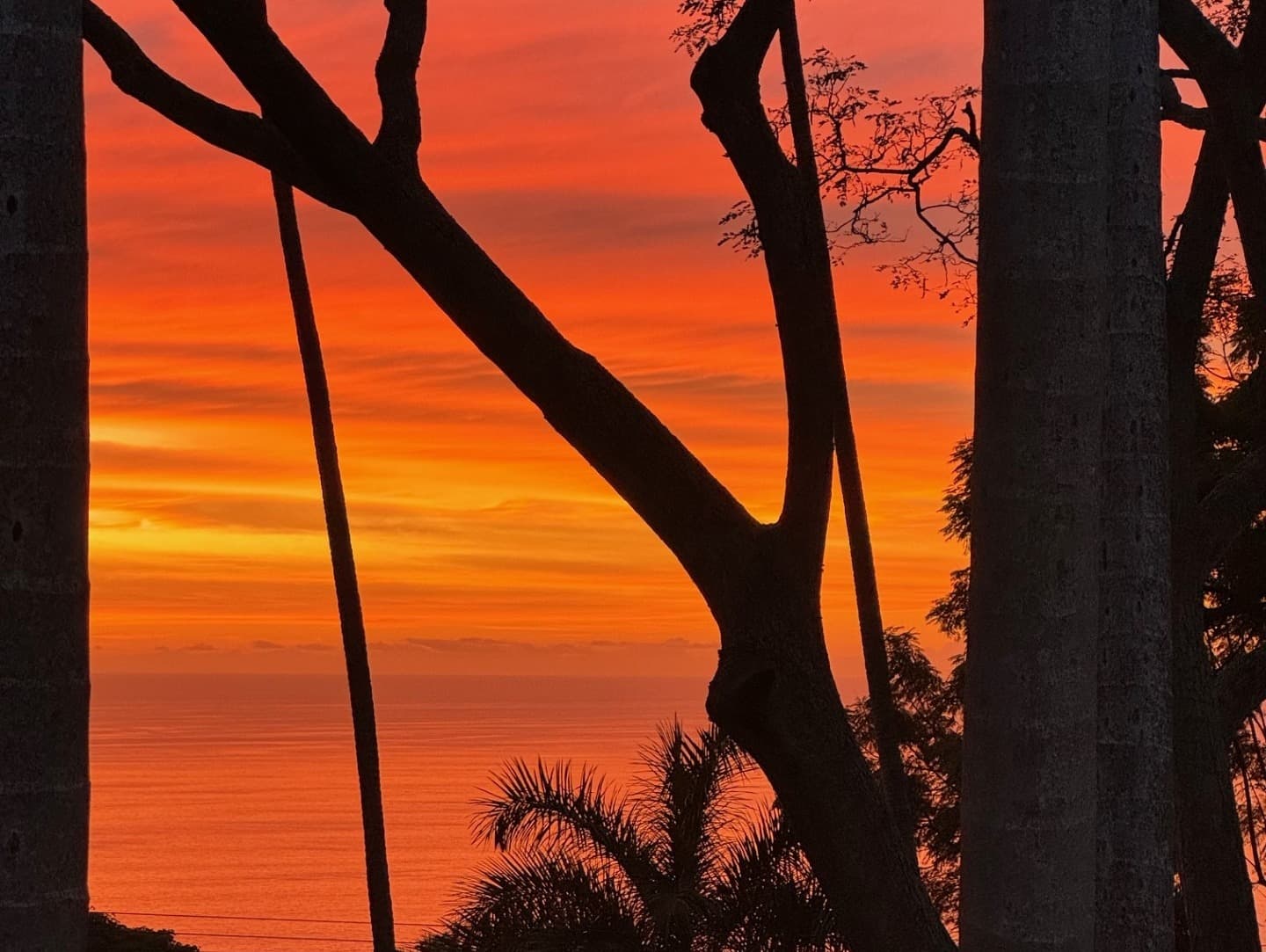 Hawai'i Island Sunset Scholarship Fund