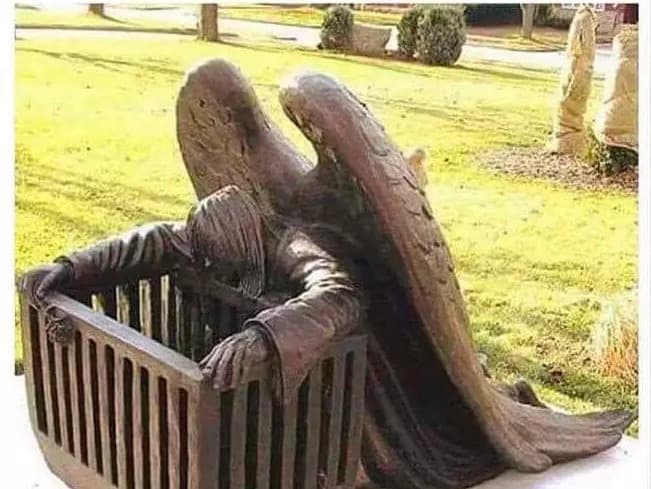 Prolife-For Life and Human Dignity