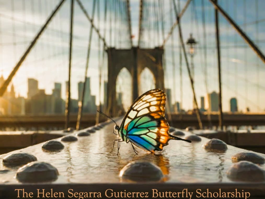 The Butterfly Effect Scholarship Fund