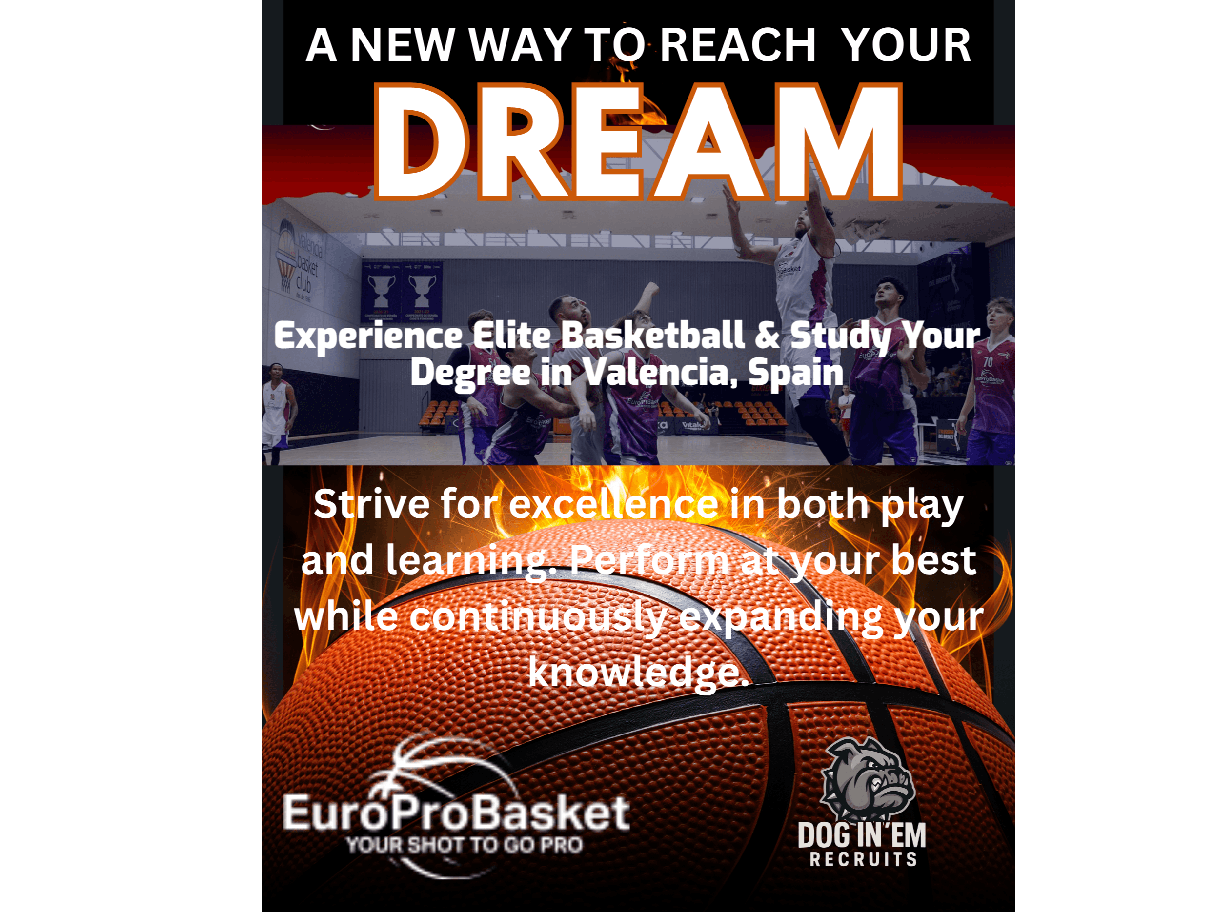 Dog In’ Em Play & Learn Abroad Fund