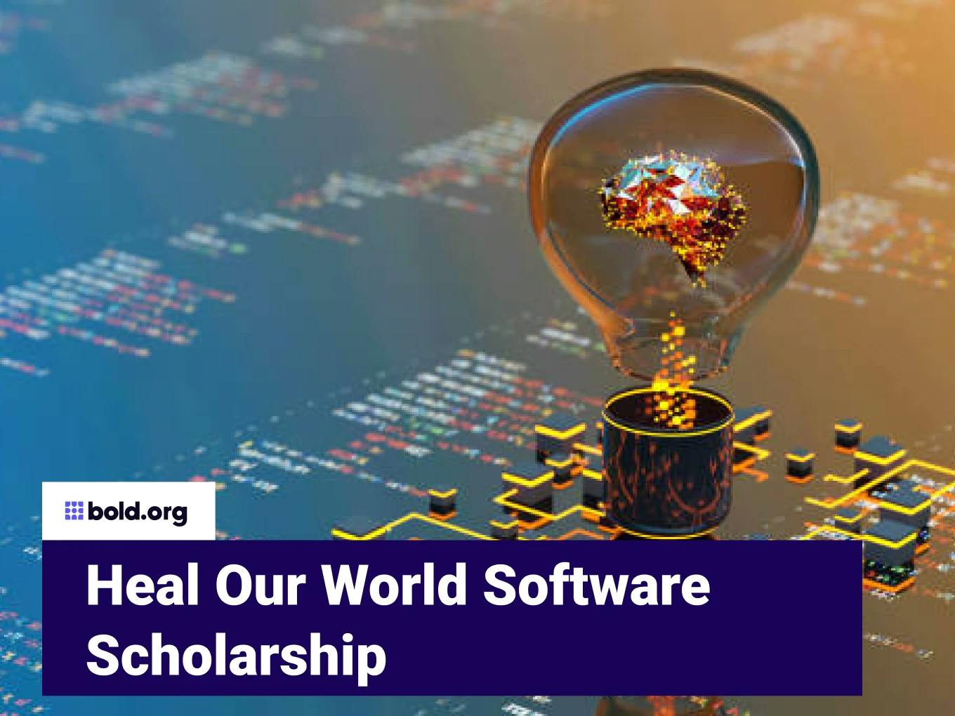 Heal Our World Software Scholarship