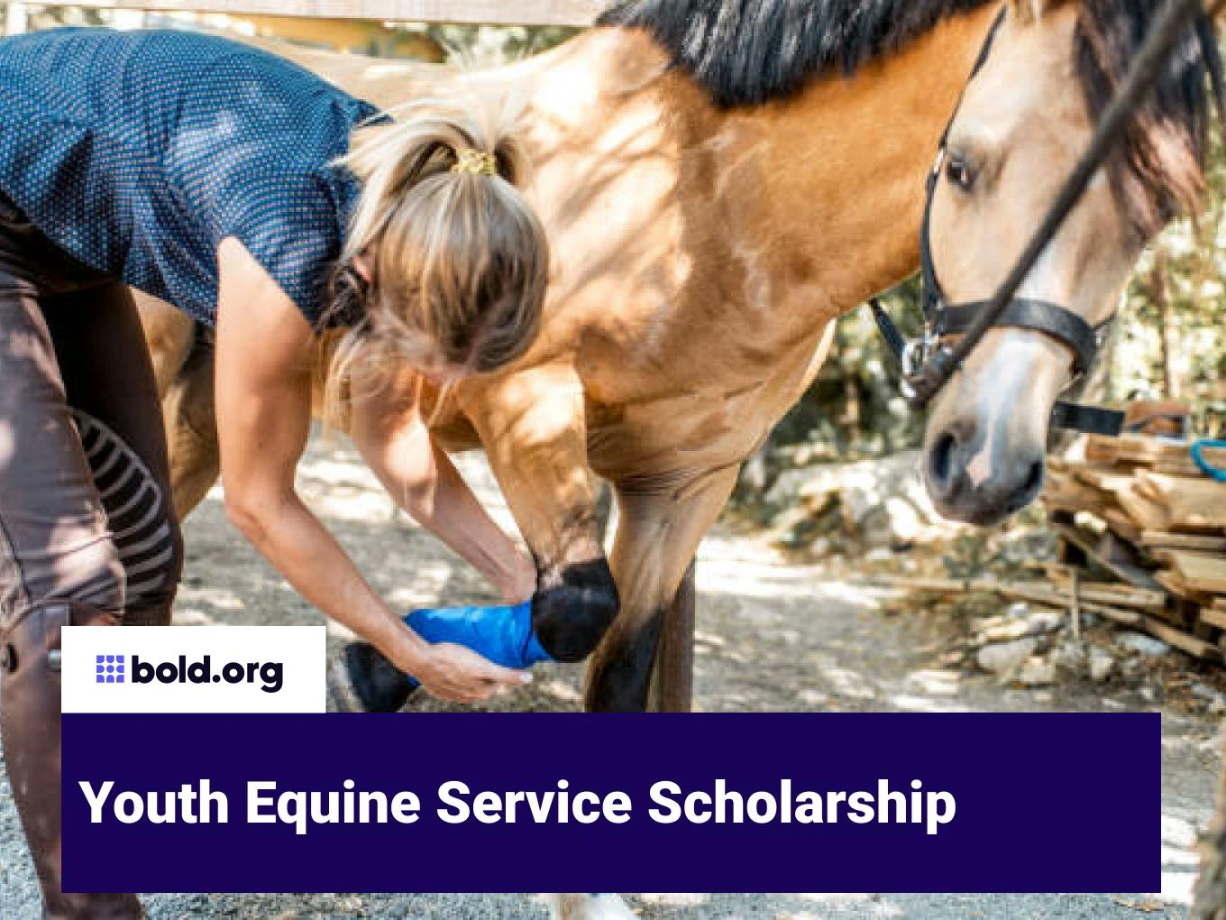 Youth Equine Service Scholarship