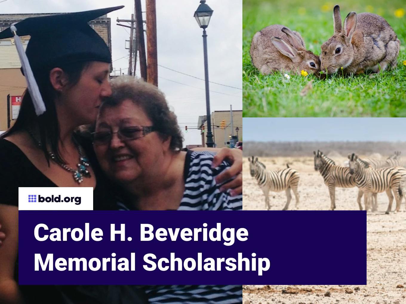 Carole H. Beveridge Memorial Scholarship