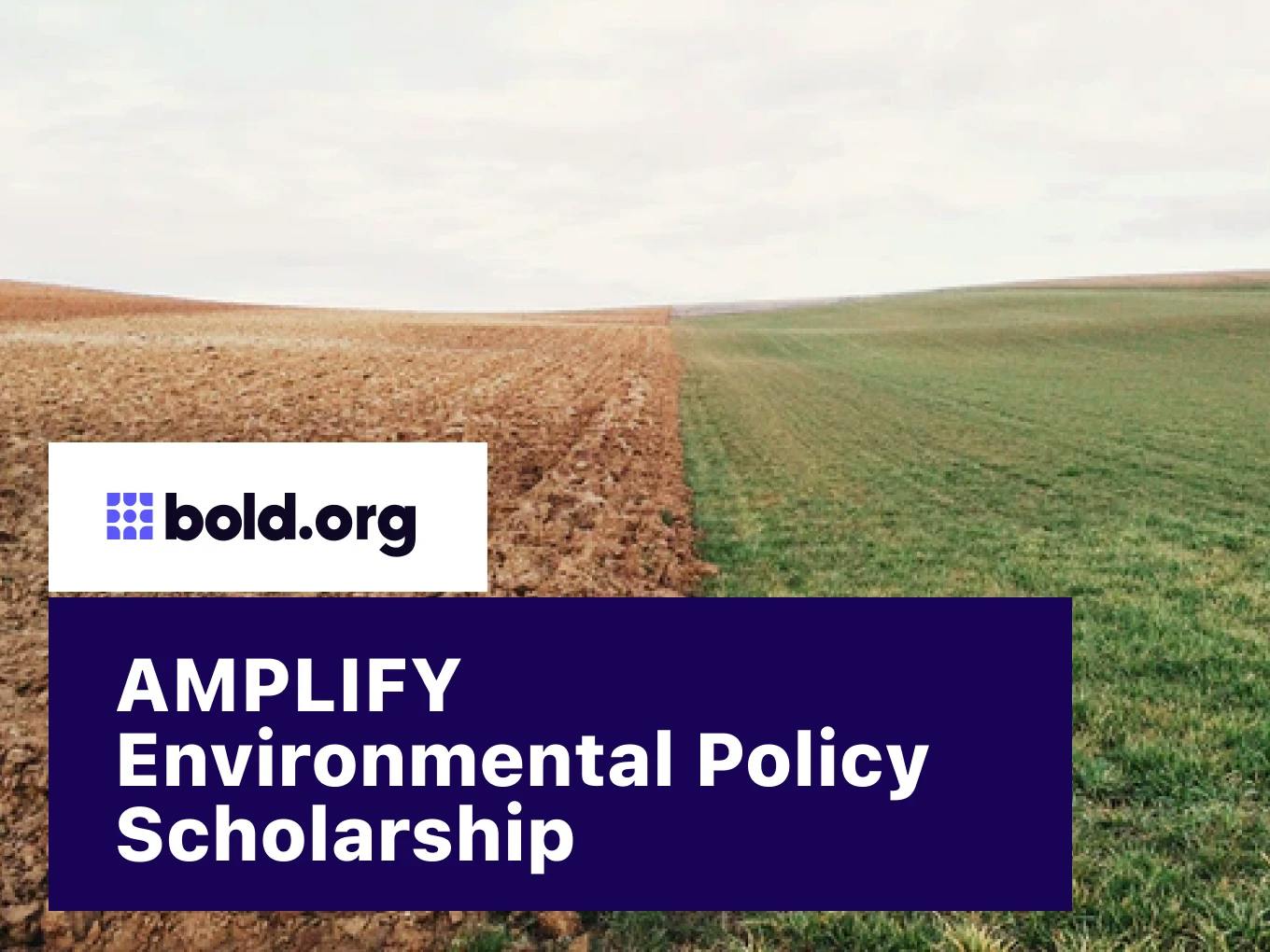 AMPLIFY Environmental Policy Scholarship