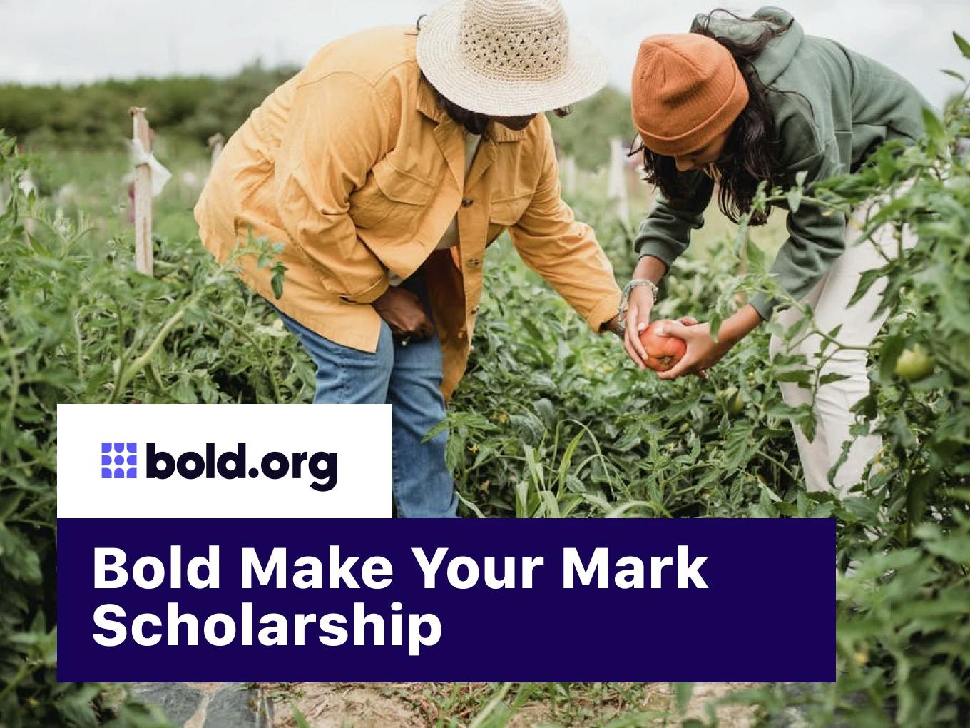 Bold Make Your Mark Scholarship