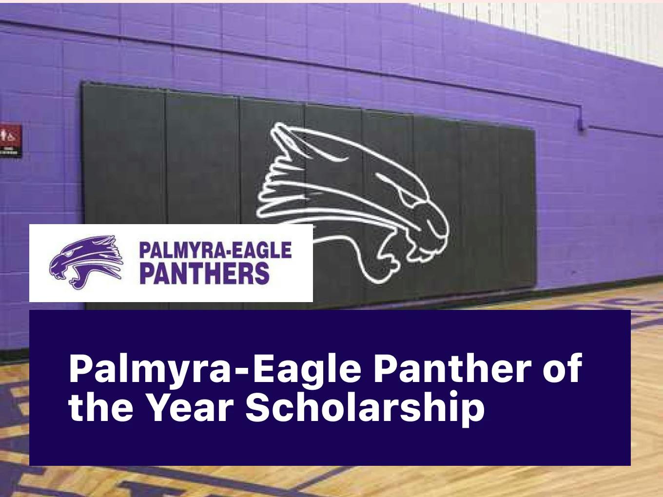 Palmyra-Eagle Panther of the Year Scholarship