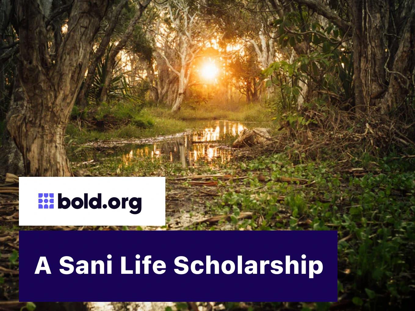 A Sani Life Scholarship