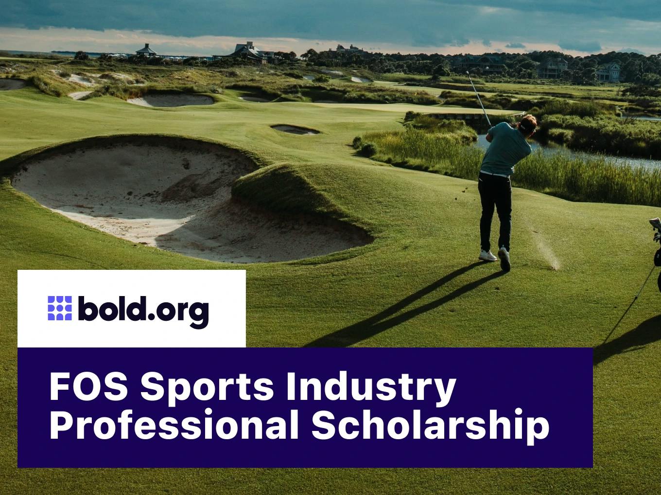 FOS Sports Industry Professional Scholarship