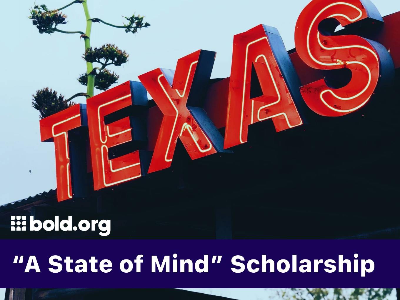 "A State of Mind" Texas Scholarship