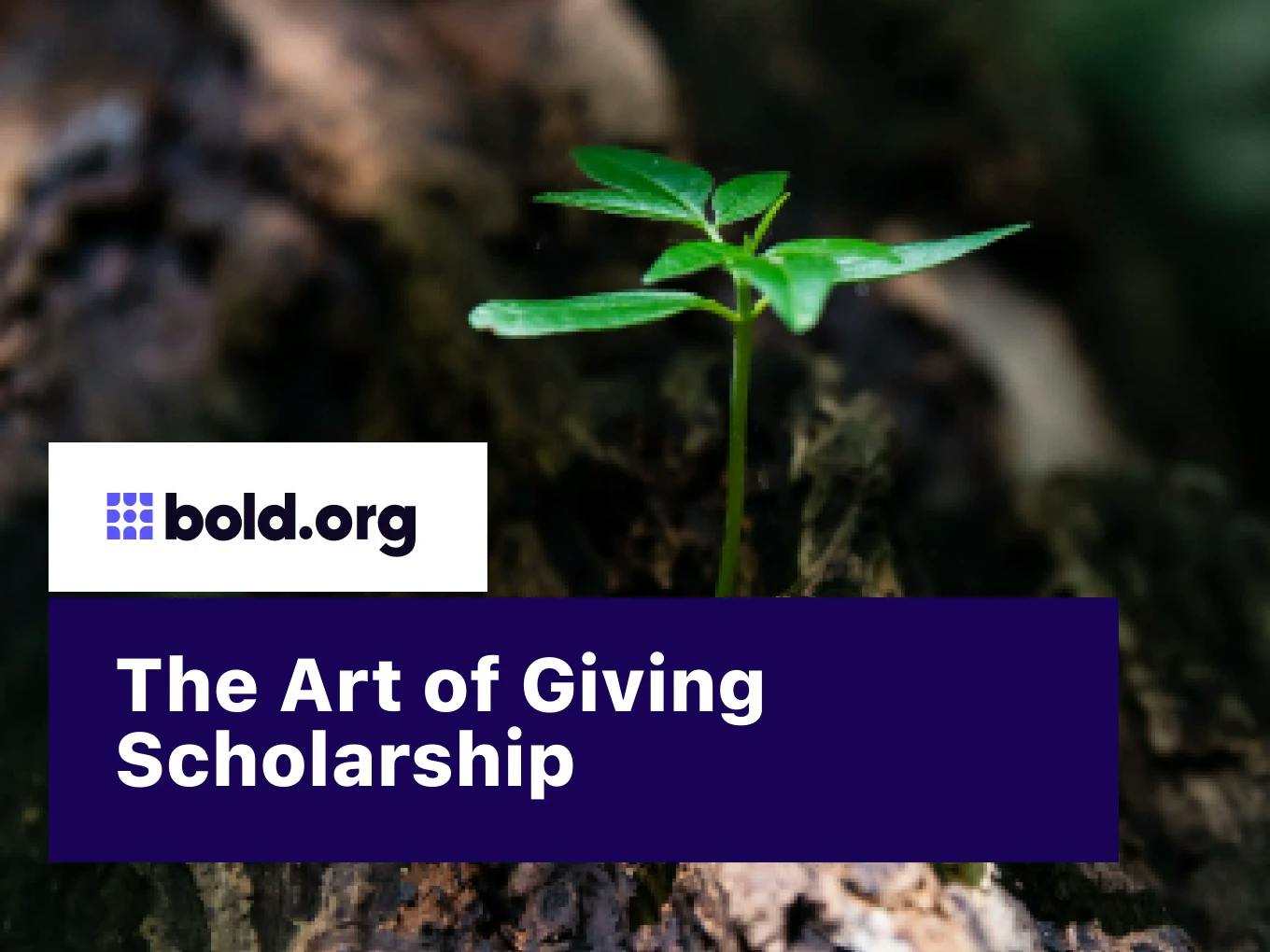 Art of Giving Scholarship