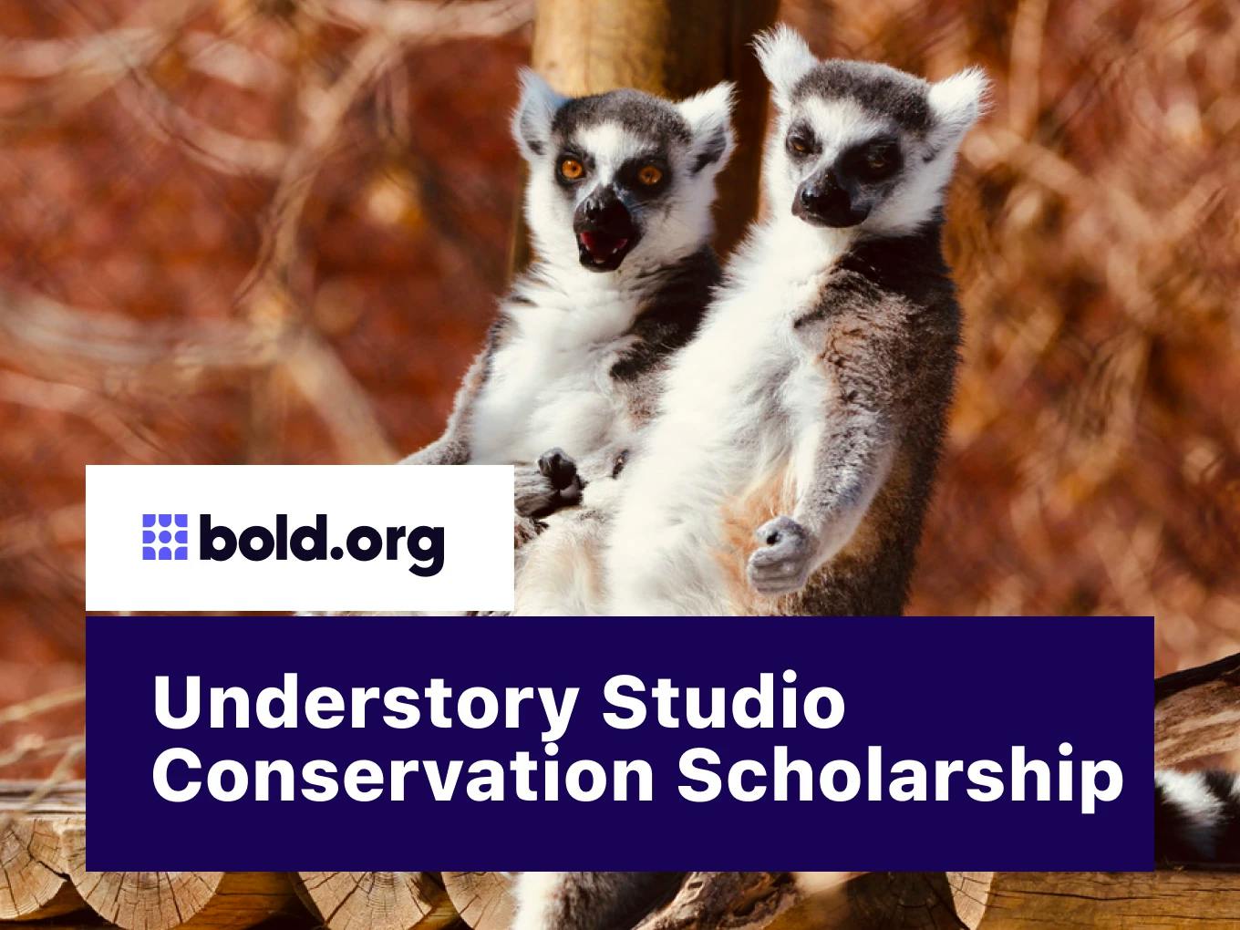 Understory Studio Conservation Scholarship
