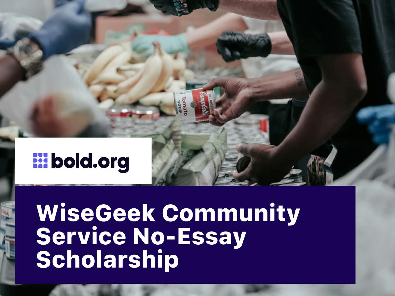 WiseGeek Community Service No-Essay Scholarship