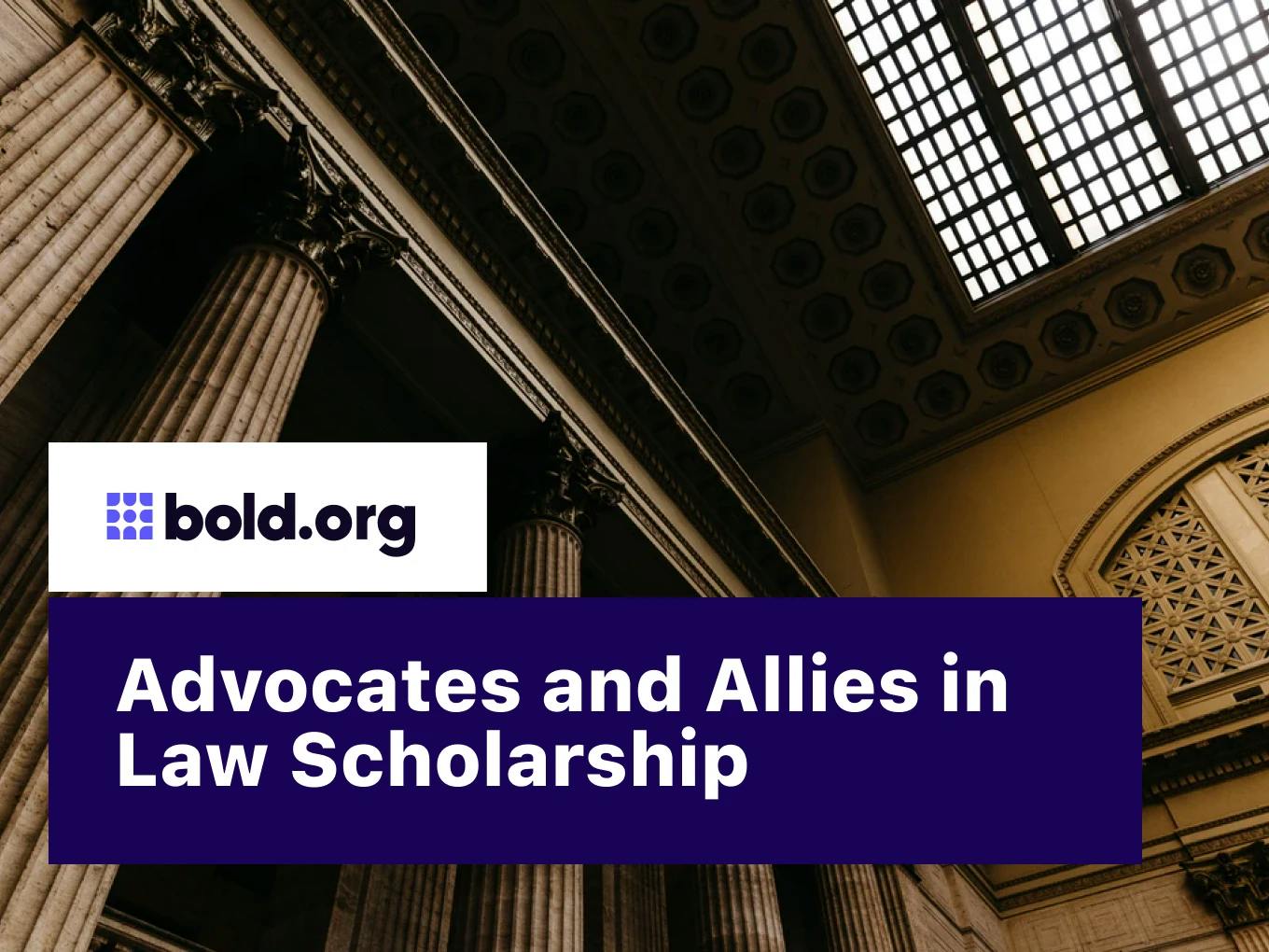 Advocates and Allies in Law Scholarship