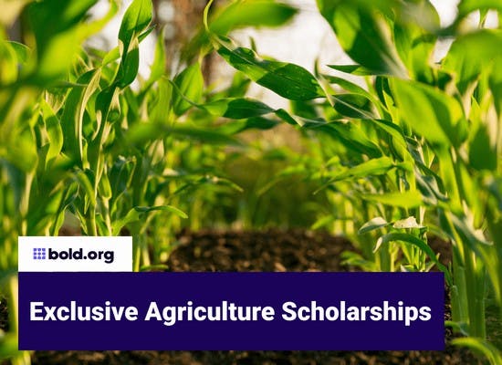 Agriculture Scholarships