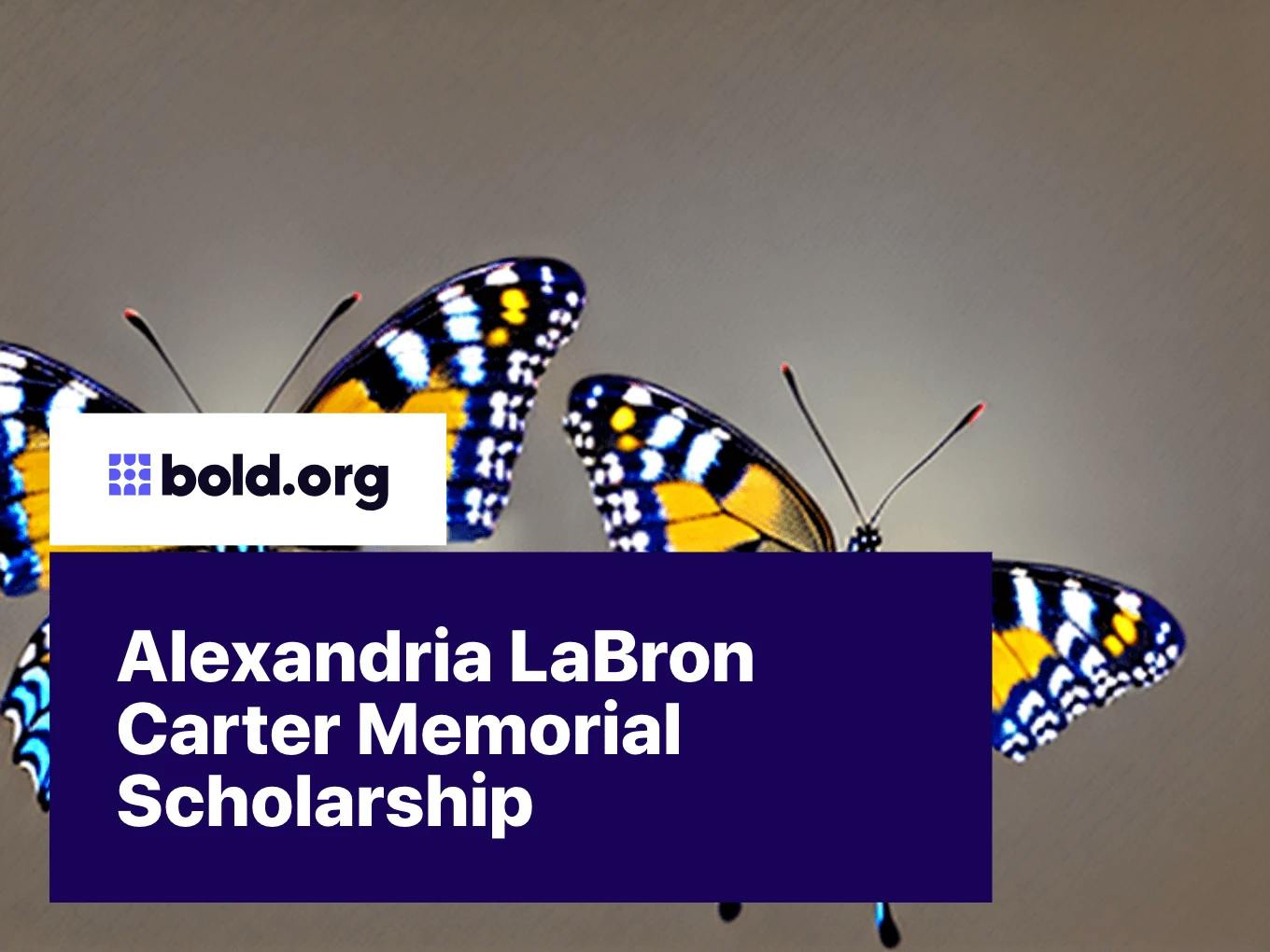 Alexandria Raquel LaBron-Carter Memorial Scholarship