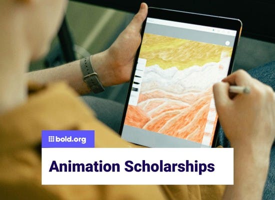Animation Scholarships