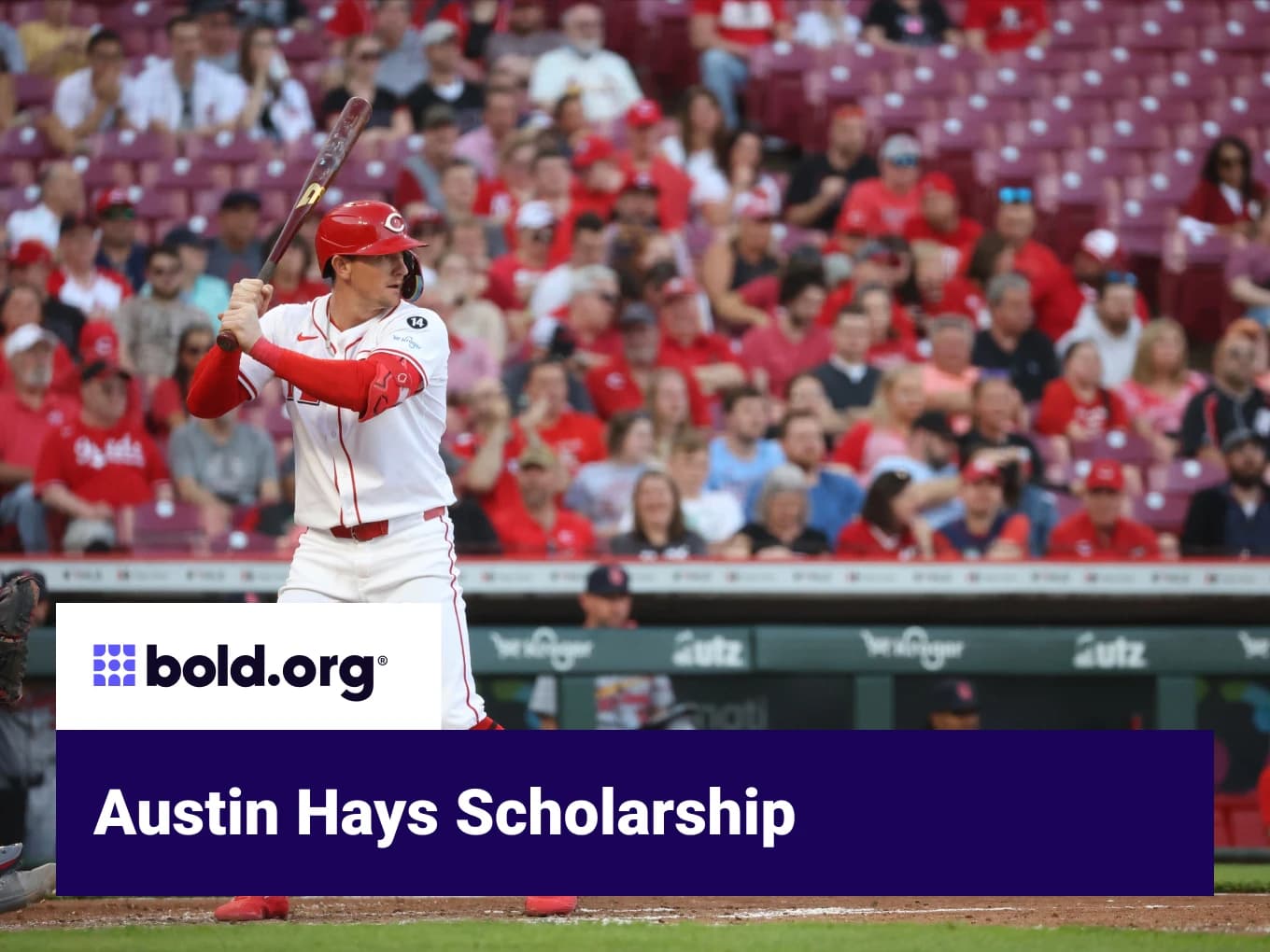 Austin Hays Scholarship