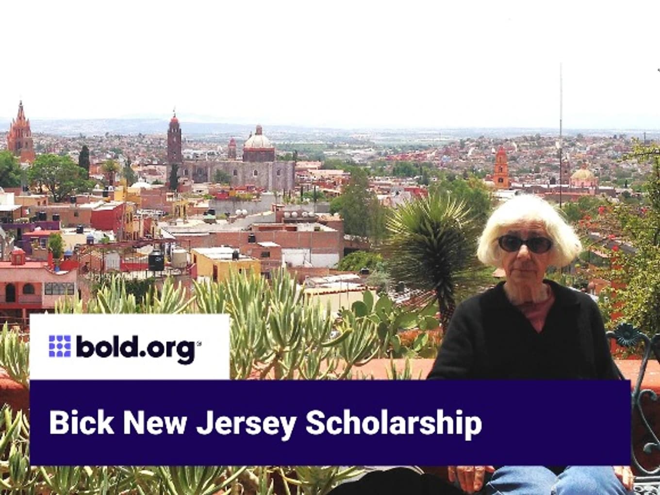 Bick New Jersey Scholarship