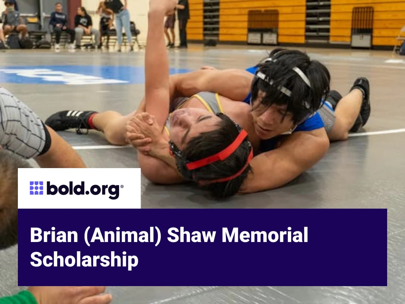 Brian (Animal) Shaw Memorial Scholarship