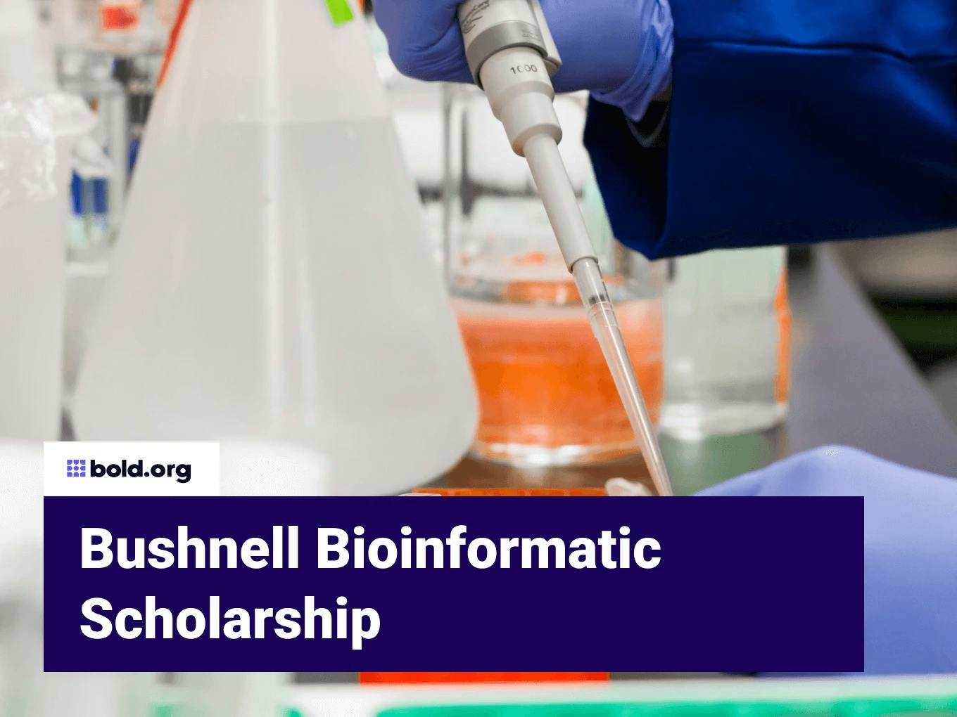 Bushnell Bioinformatic Scholarship