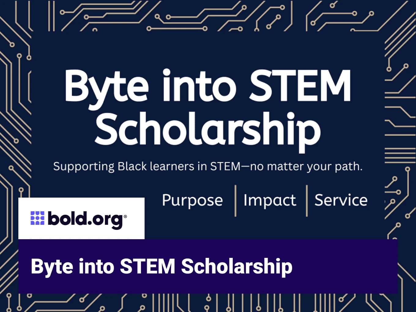 Byte into STEM Scholarship