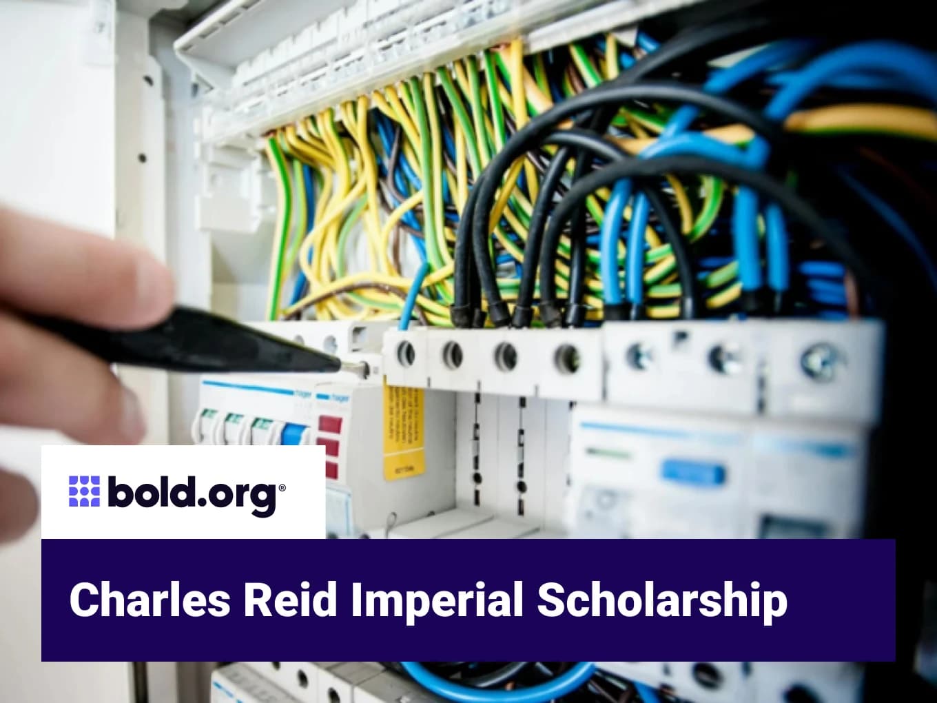 Charles Reid Imperial Scholarship