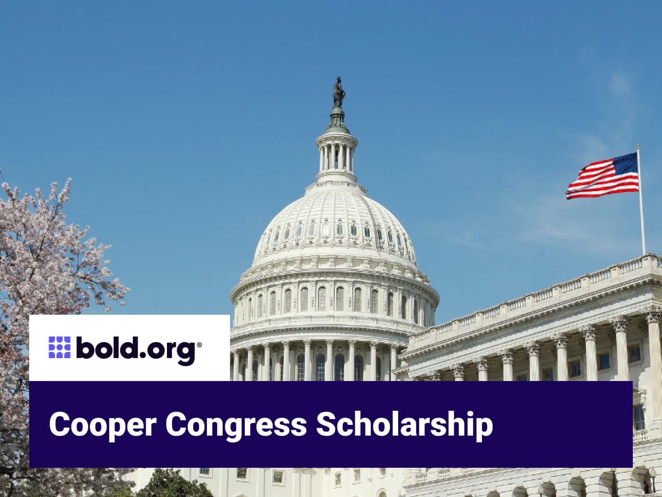 Cooper Congress Scholarship