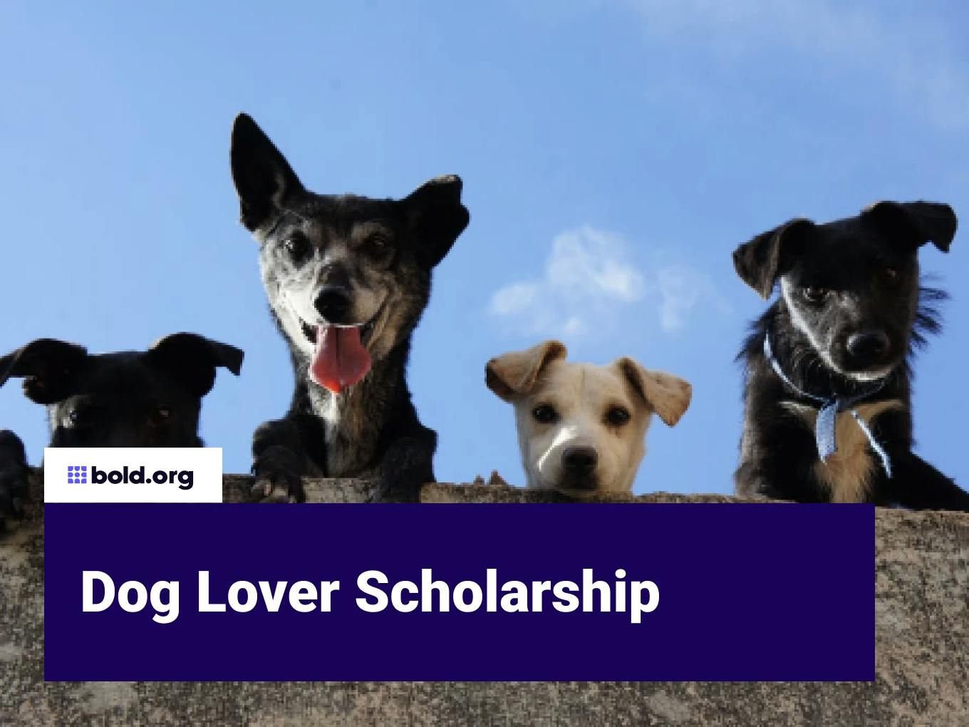 Dog Lover Scholarship