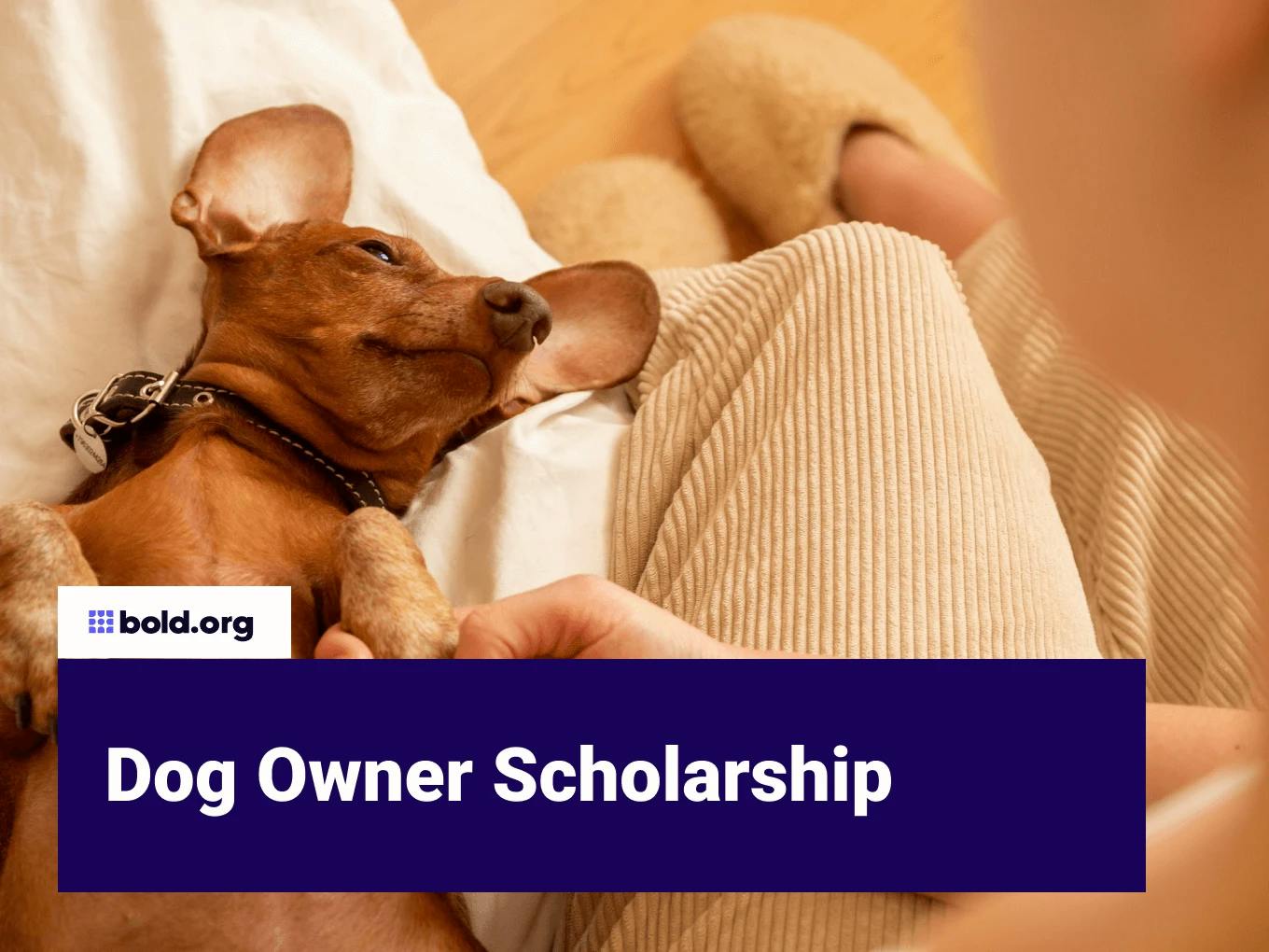 Dog Owner Scholarship