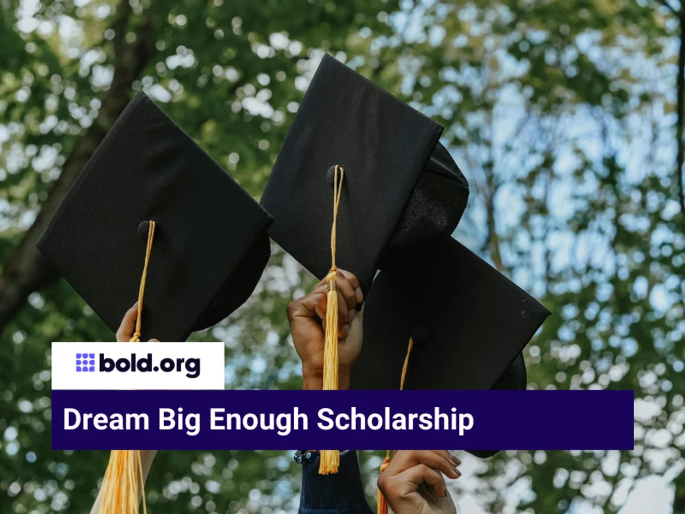 Dream Big Enough Scholarship