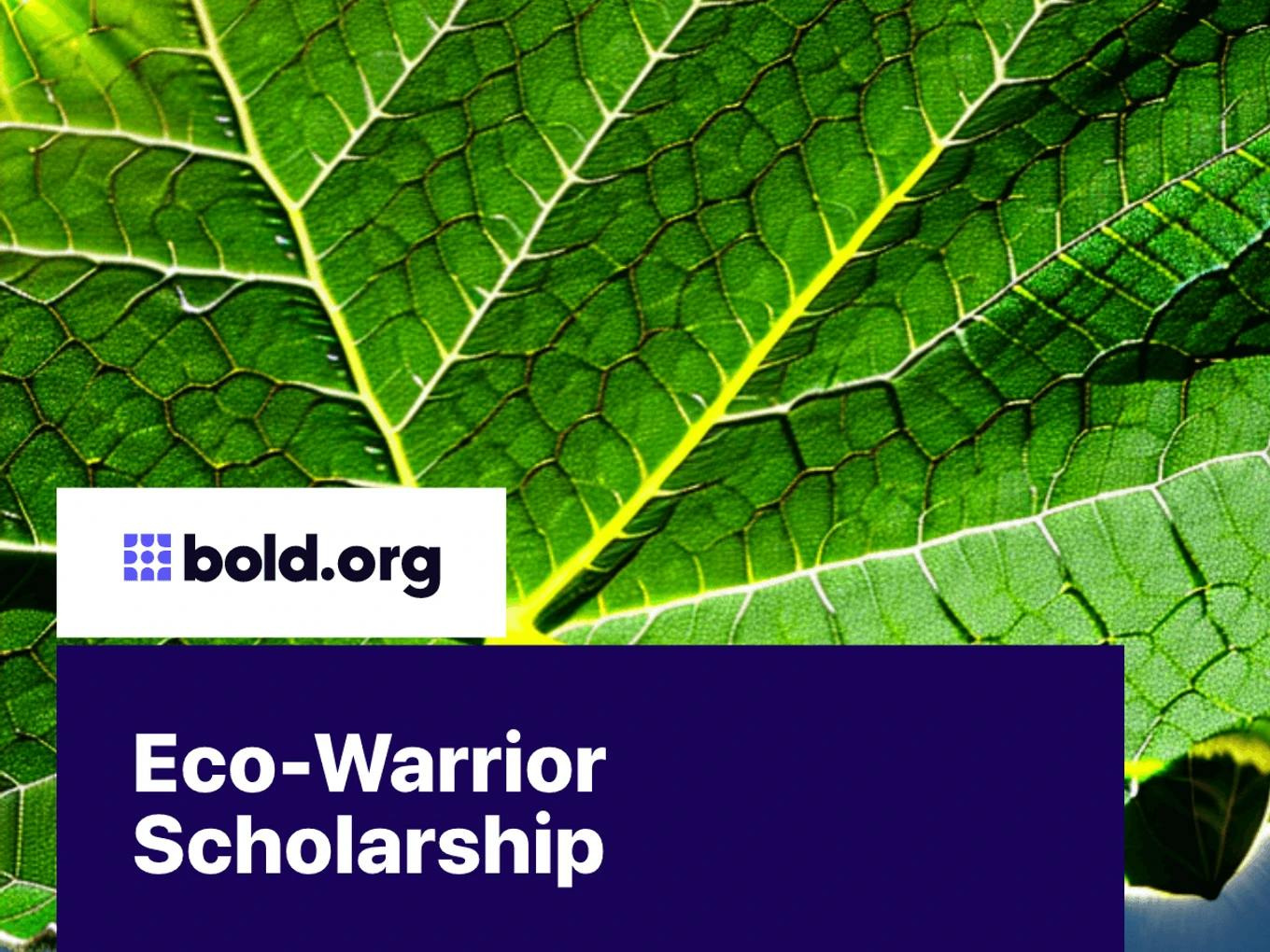 Eco-Warrior Scholarship