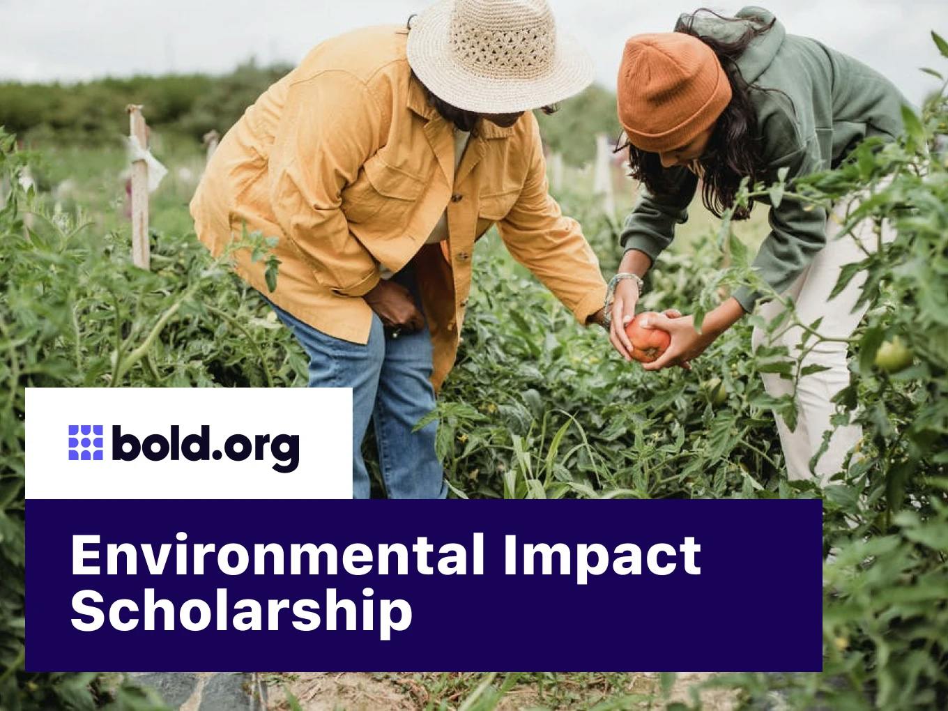 Environmental Impact Scholarship