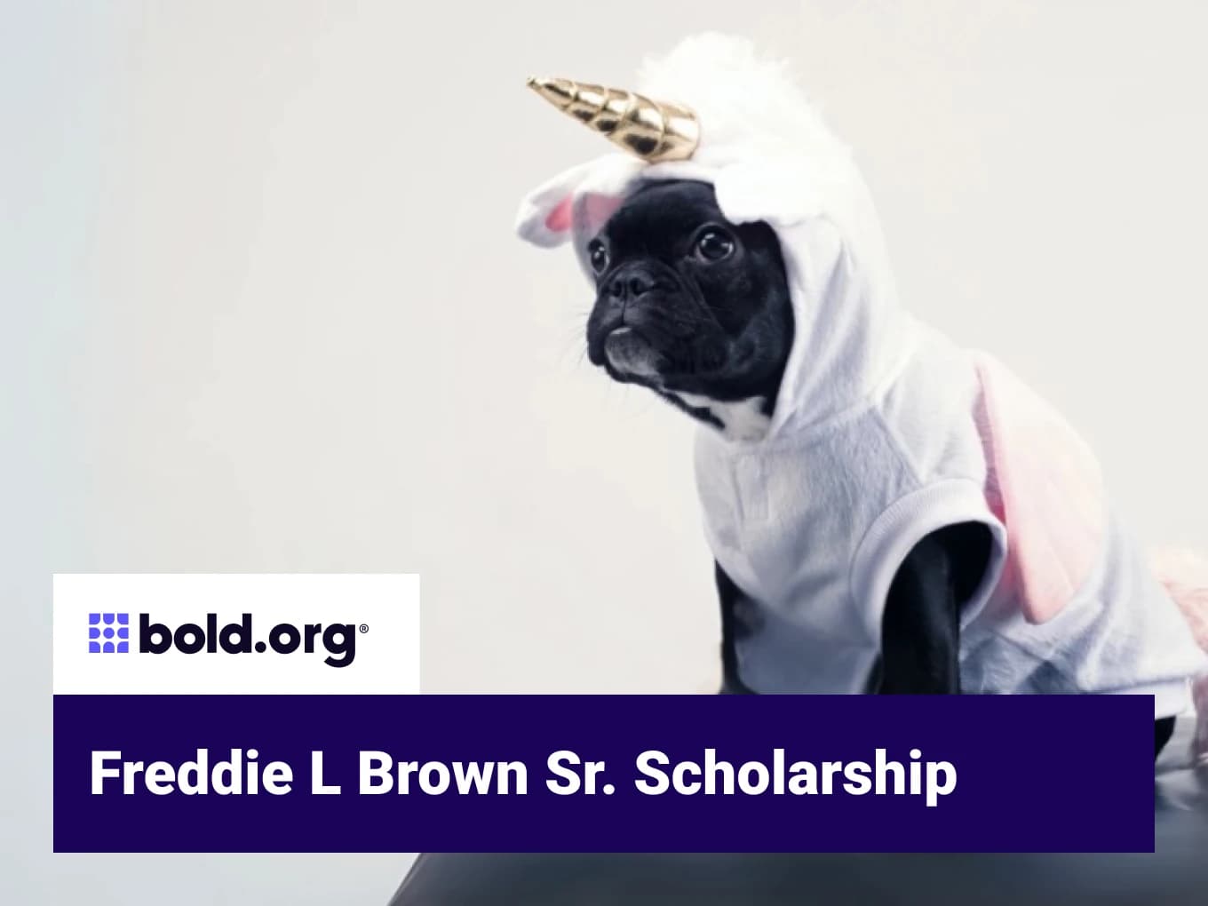 Freddie L Brown Sr. Scholarship