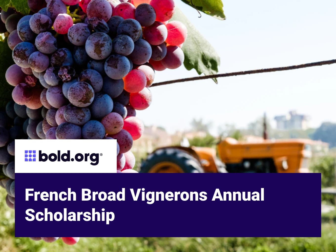French Broad Vignerons Annual Scholarship