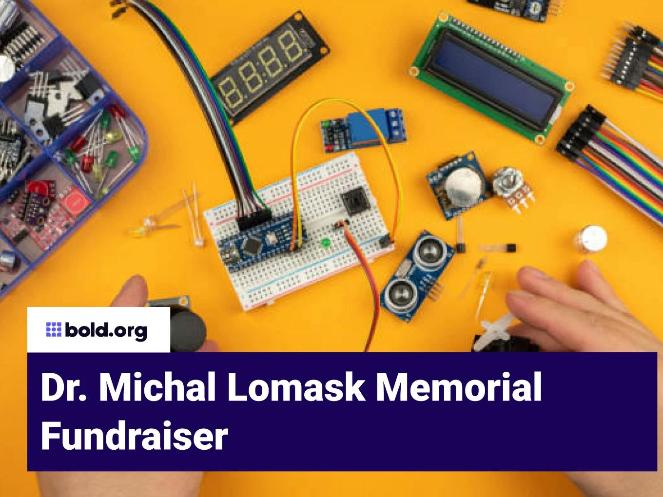 Dr. Michal Lomask Memorial Fundraiser