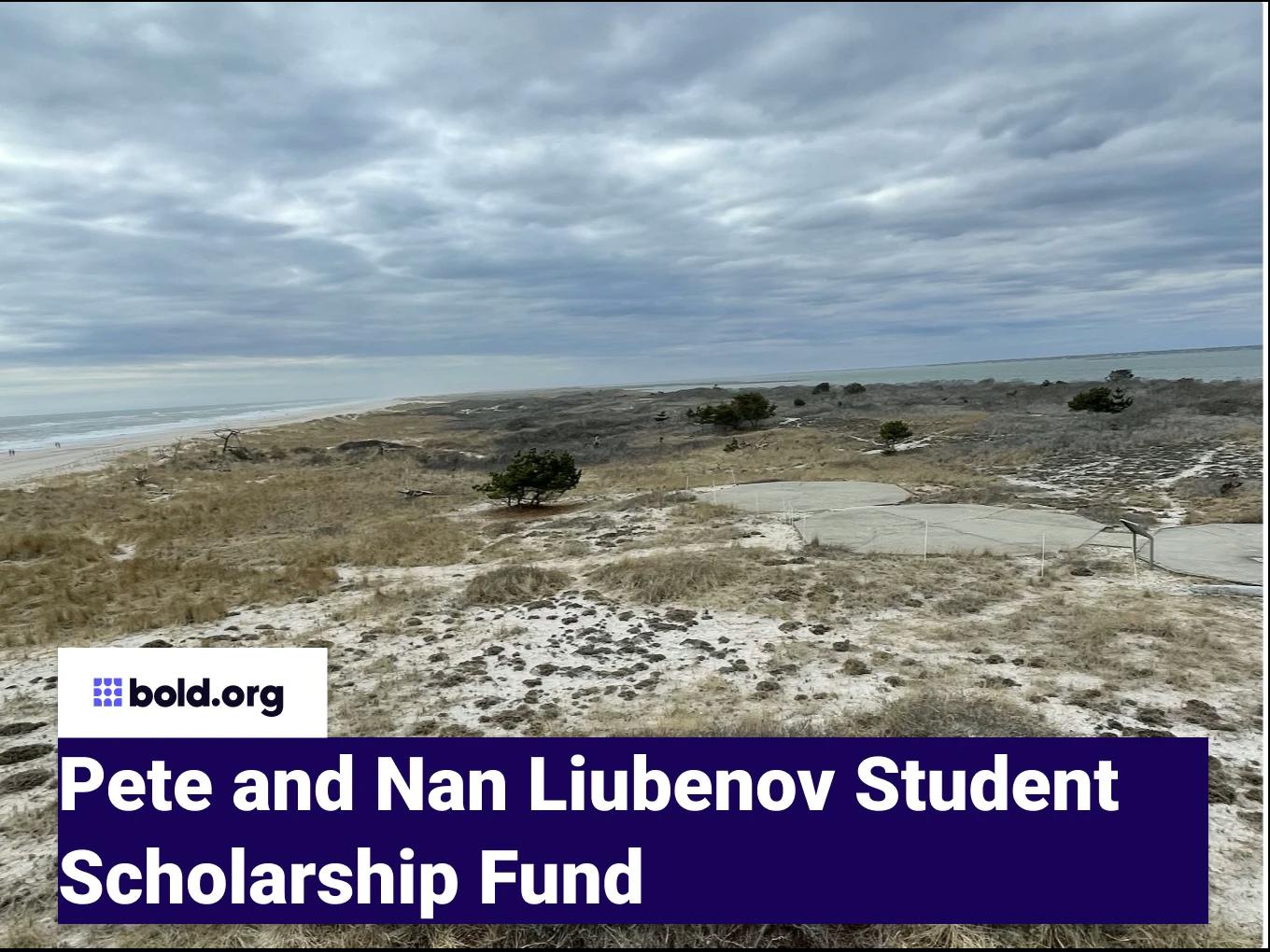 Pete and Nan Liubenov Student Scholarship Fund