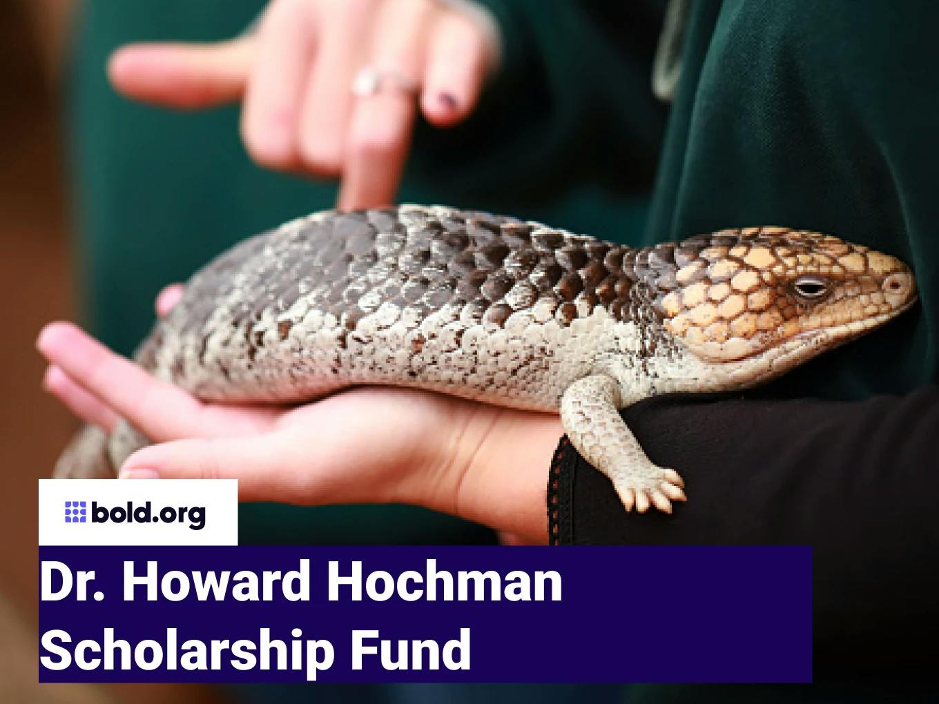 Dr. Howard Hochman Scholarship Fund