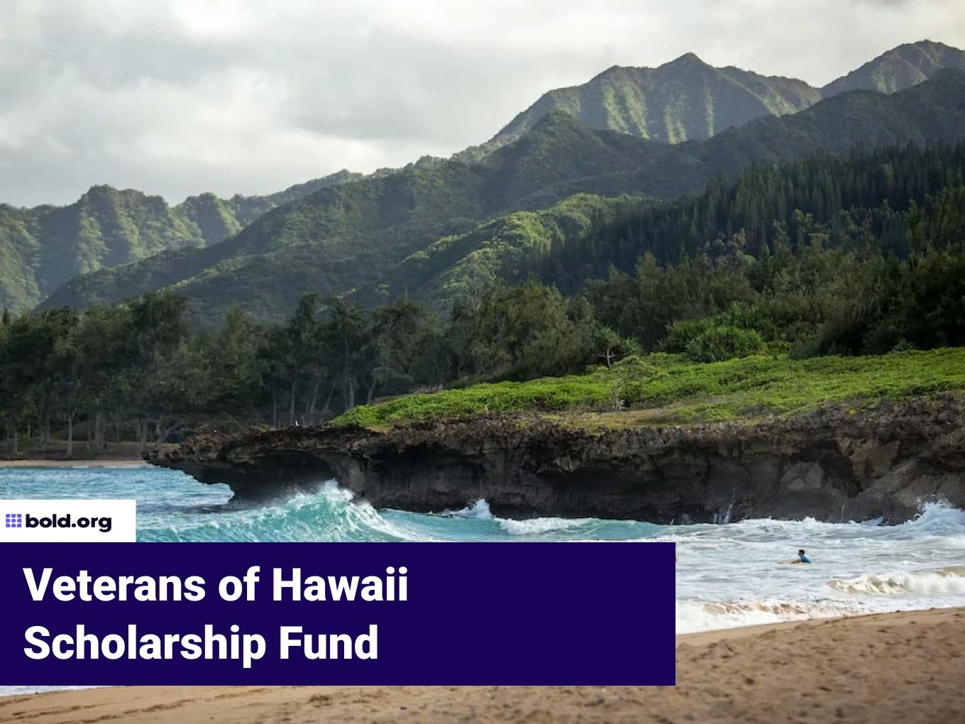Veterans of Hawaii Scholarship Fund