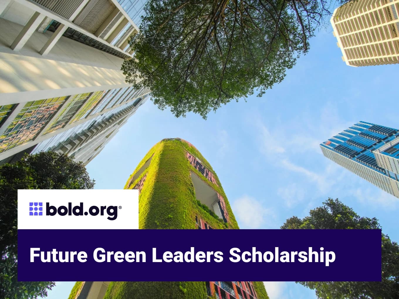Future Green Leaders Scholarship
