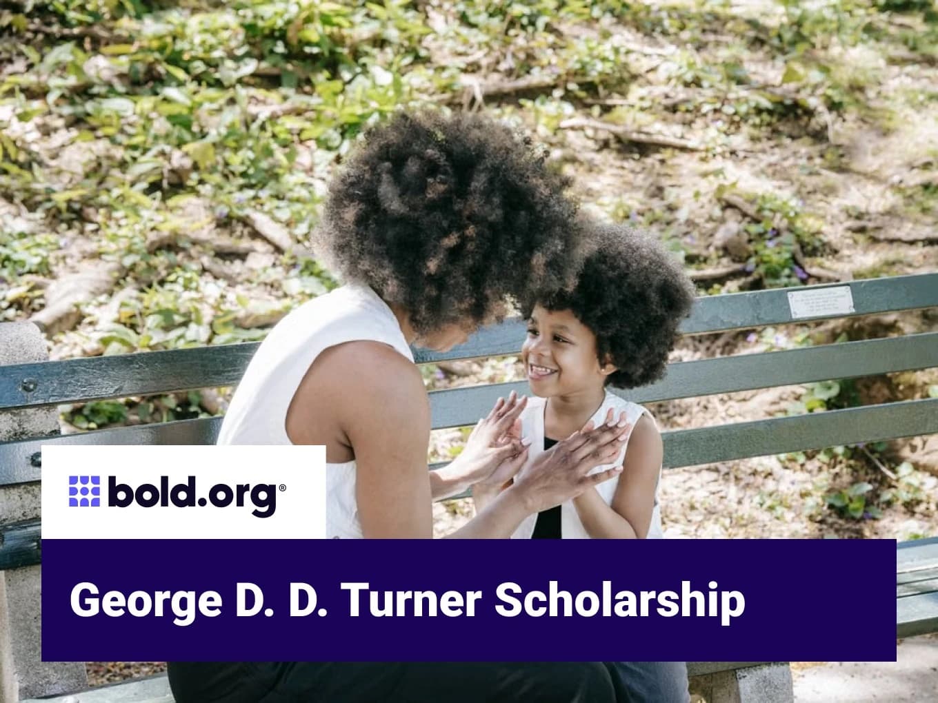George D. D. Turner Scholarship