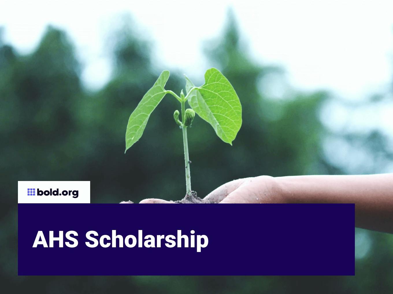 AHS Scholarship