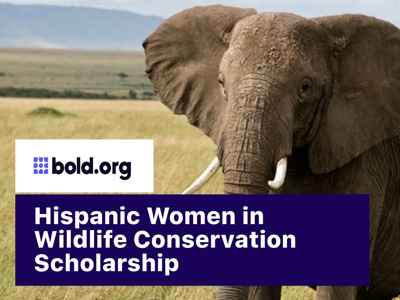 Hispanic Women in Wildlife Conservation Scholarship