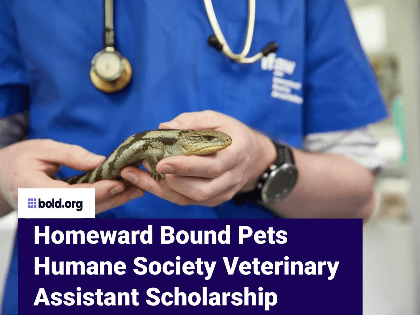 Homeward Bound Pets Humane Society Veterinary Assistant Scholarship