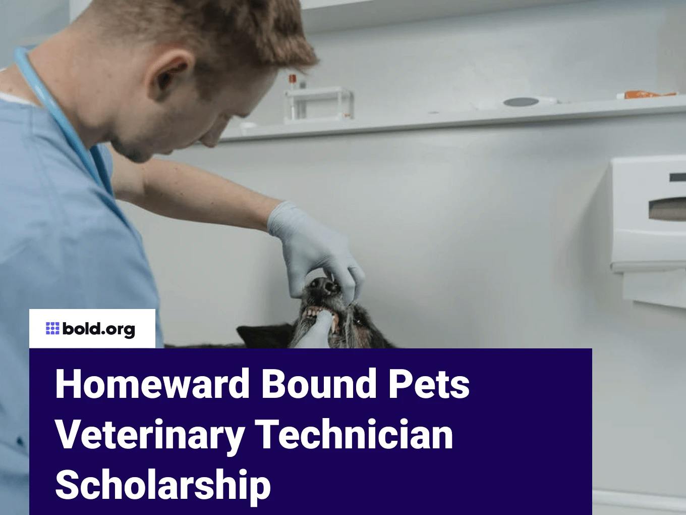 Homeward Bound Pets Humane Society Veterinary Technician Scholarship