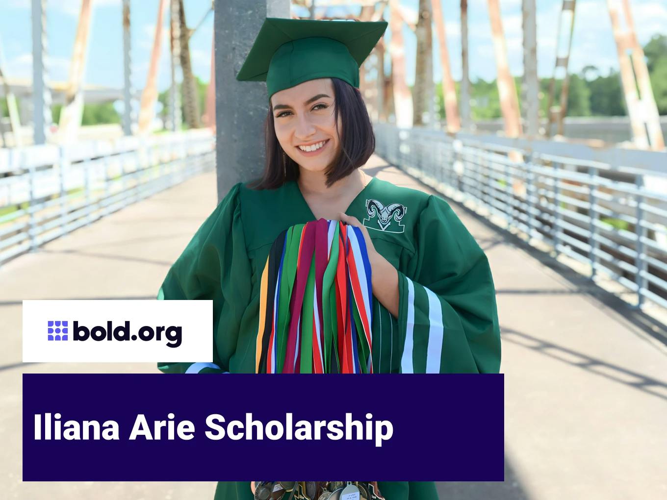 Iliana Arie Scholarship