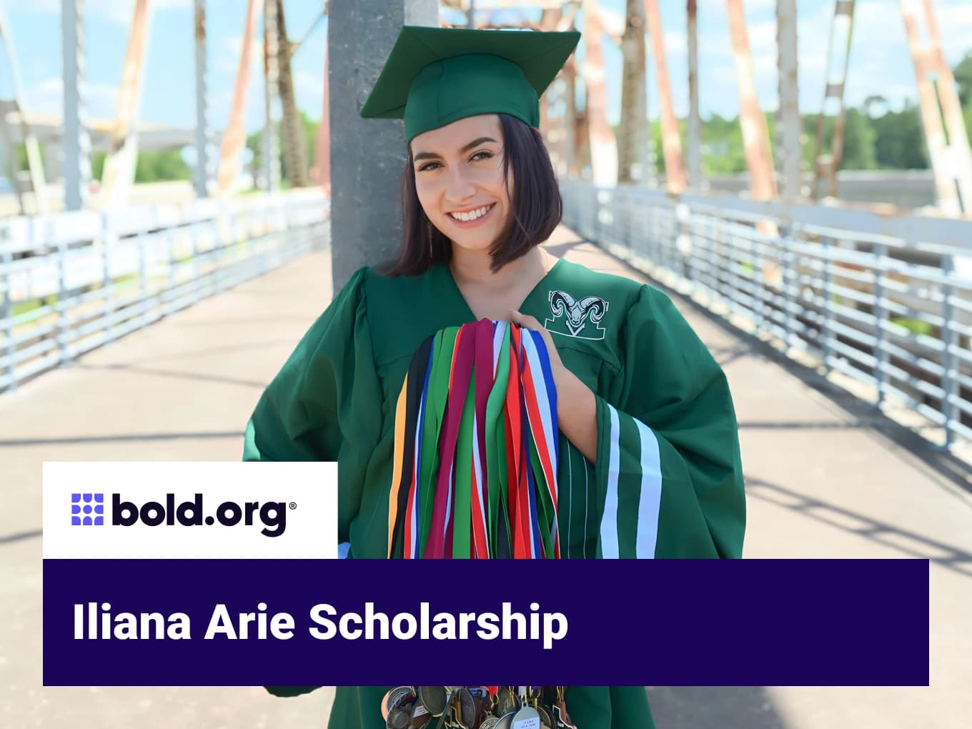 Iliana Arie Scholarship