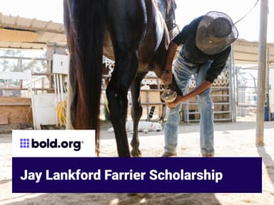 Scholarship cover image